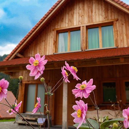 Dolomiti Village Comeglians Bagian luar foto