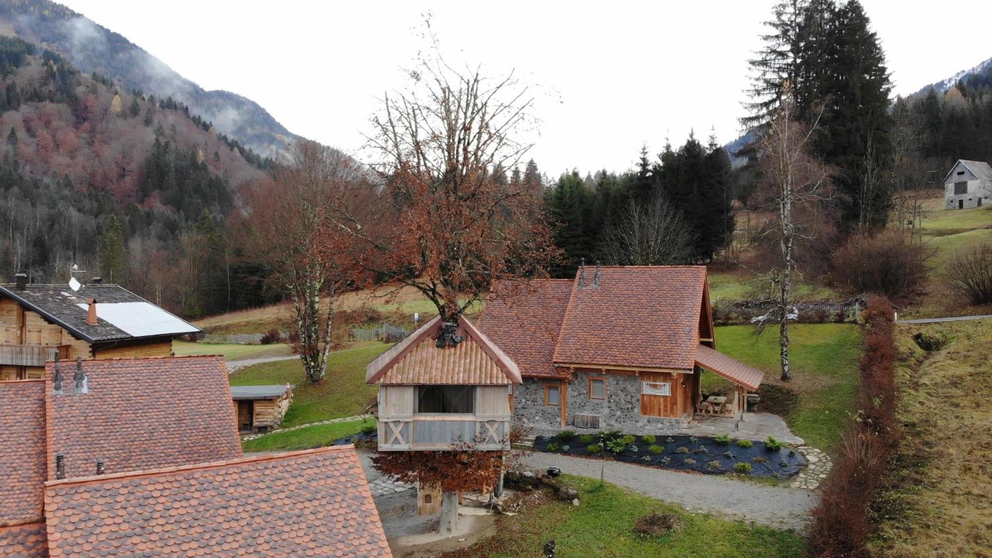 Dolomiti Village Comeglians Ruang foto