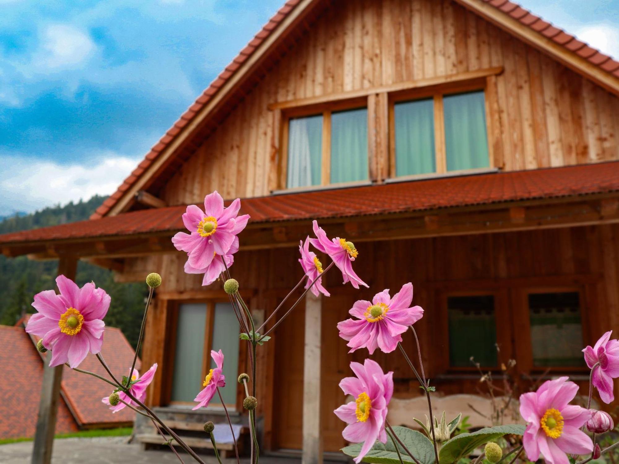 Dolomiti Village Comeglians Bagian luar foto